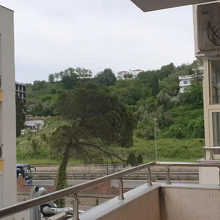 Daire The Freshness Of Golem